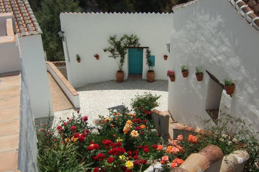 פריחיליאנה Casa Rosa, Con Encanto Y Piscina Climatizada מראה חיצוני תמונה